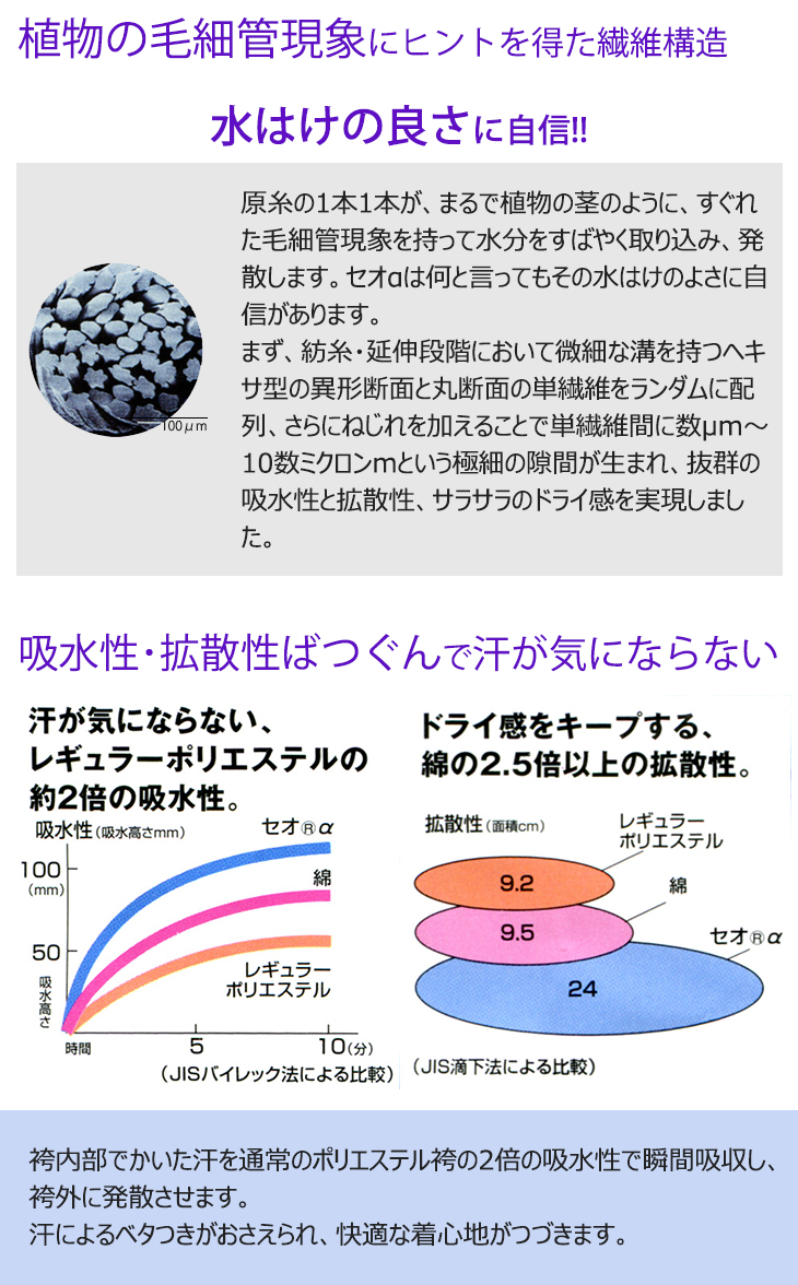 セオα説明