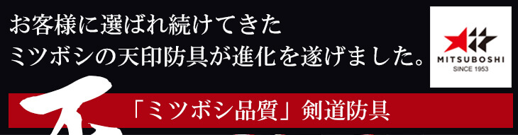 オーダーメイド・ミシン刺防具】ミツボシ製『天』6?織刺剣道防具セット