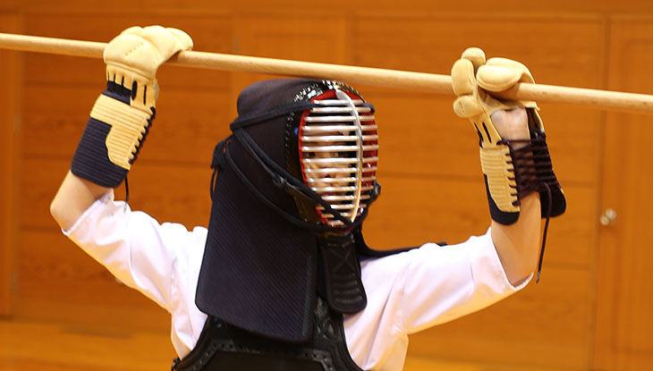 剣道 緑稲妻胴 緑胴 なぎなた 青胴 ジャージ道着 ジャージ袴 面 垂 小手-